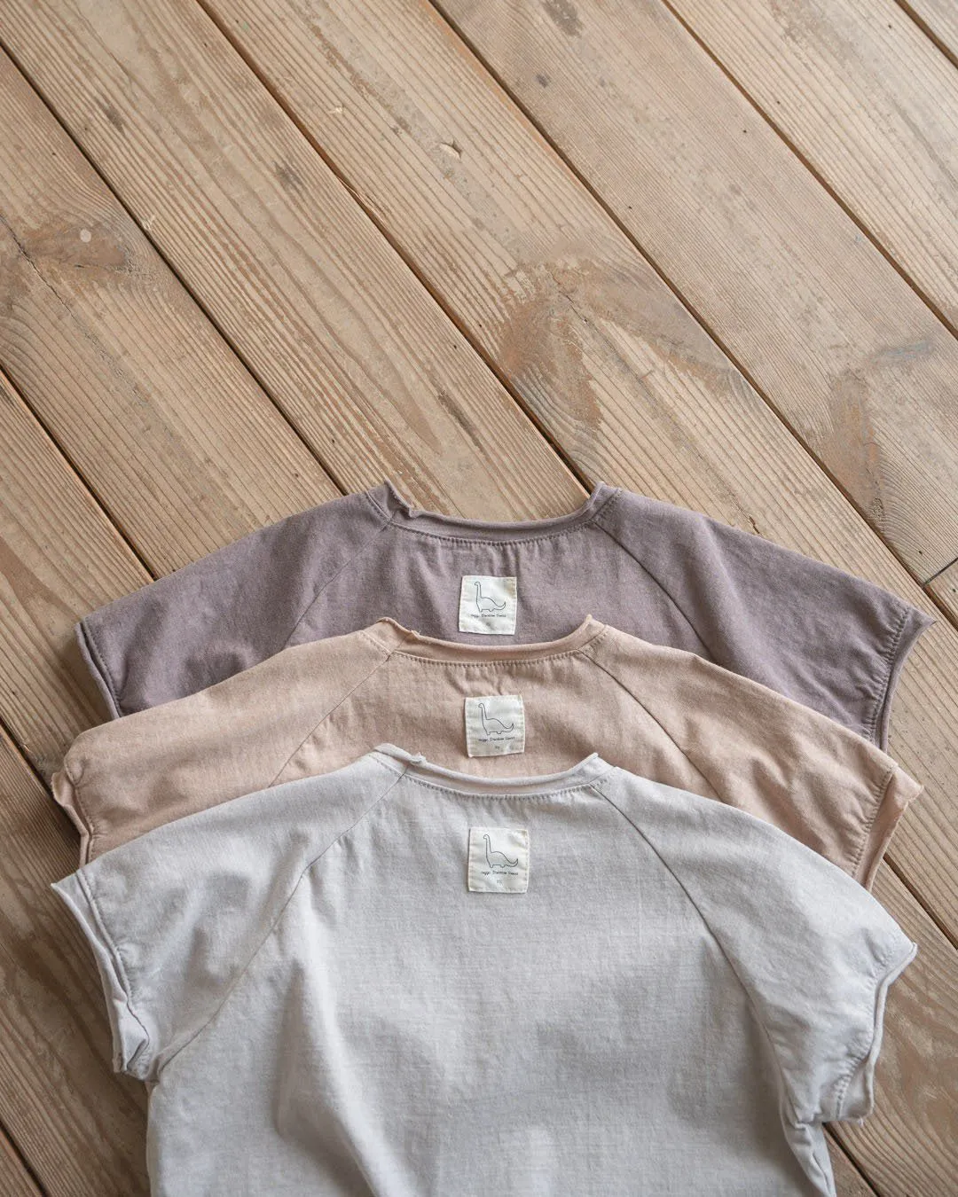 Baby Dinsoaur Romper | Grey